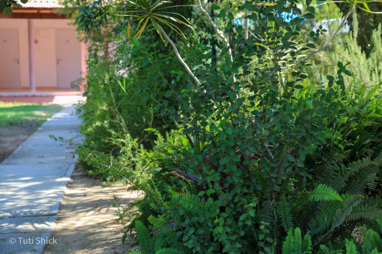 Mandara - Country Lodging Urim 외부 사진